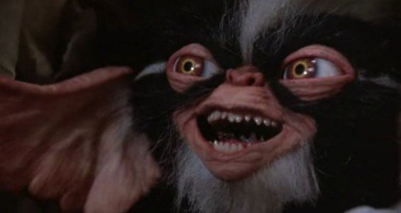 Gremlins 2 - A Nova Turma : Fotos