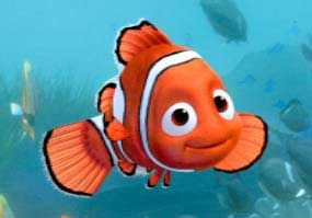 Procurando Nemo : Fotos