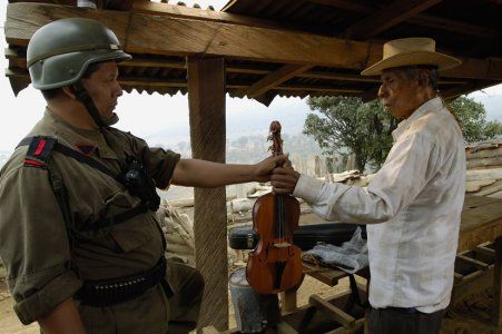O Violino : Fotos