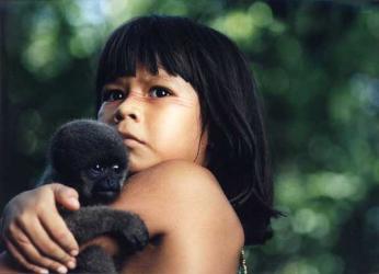 Tainá - Uma Aventura na Amazônia : Fotos