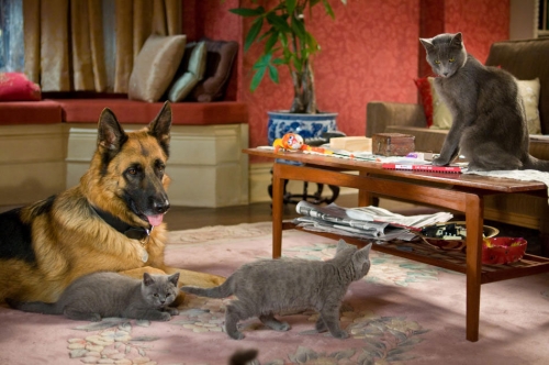 Como Cães e Gatos 2 - A Vingança de Kitty Galore : Fotos