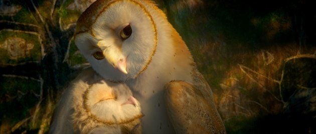 A Lenda dos Guardiões : Fotos