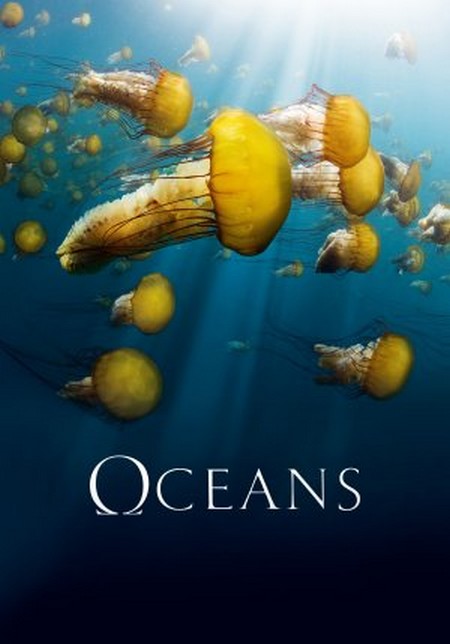 Oceanos : Fotos