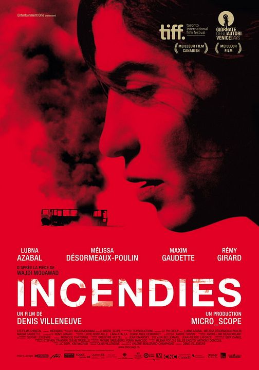 Incêndios : Fotos