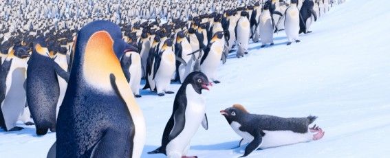 Happy Feet 2 - O Pinguim : Fotos