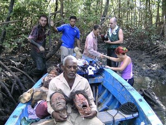 Mangue Negro : Fotos