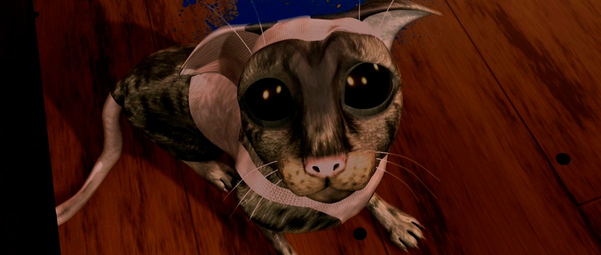 Pássaros Livres - Altas Aventuras : Fotos