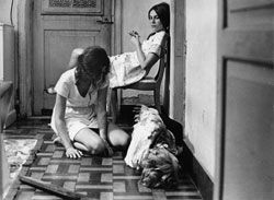 Matou a Família e Foi ao Cinema : Fotos