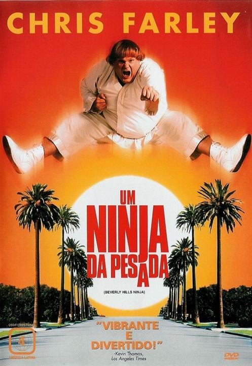 Um Ninja da Pesada : Poster