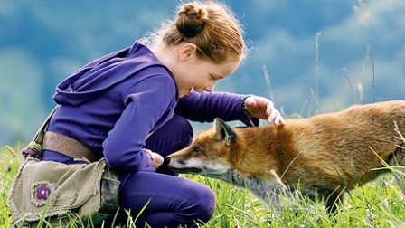 Le renard et l'enfant : Fotos