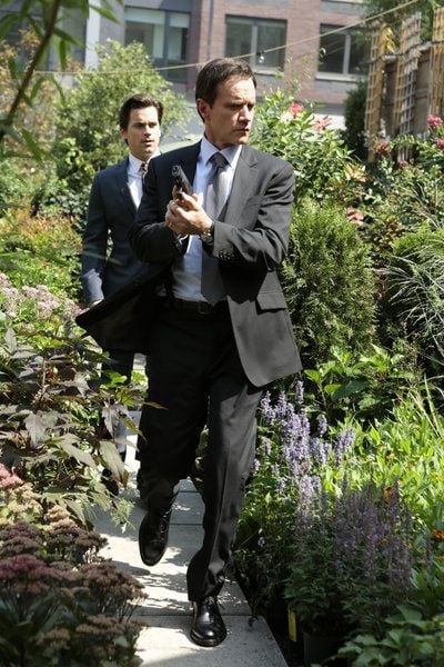 Fotos Tim DeKay