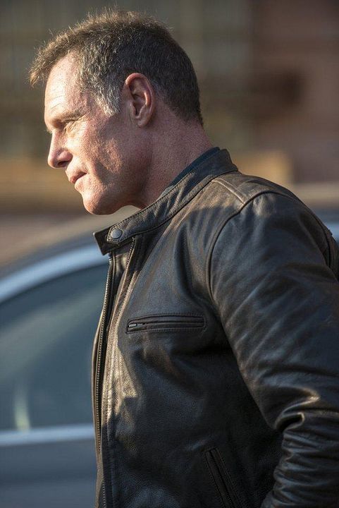 Chicago P.D. Distrito 21 : Fotos Jason Beghe