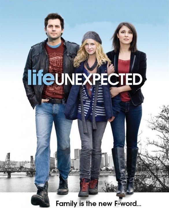 Life Unexpected : Poster