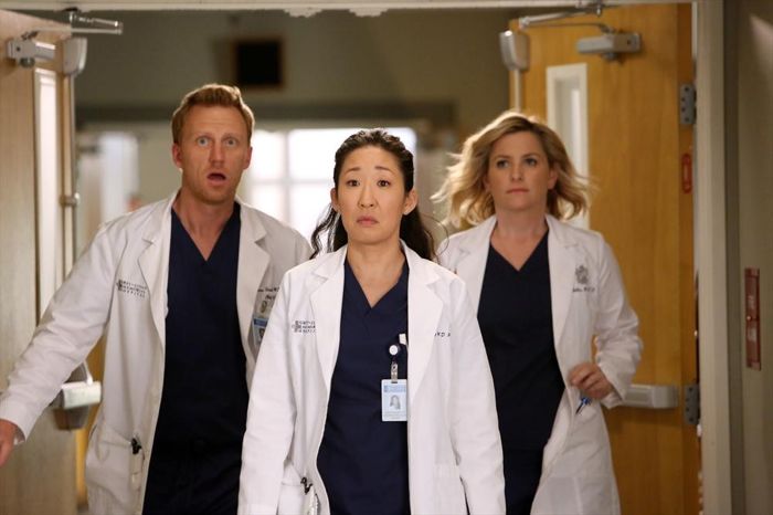 Grey's Anatomy : Fotos Jessica Capshaw, Kevin McKidd, Sandra Oh