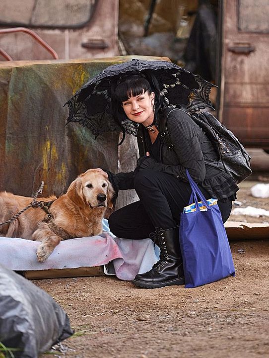 Fotos Pauley Perrette