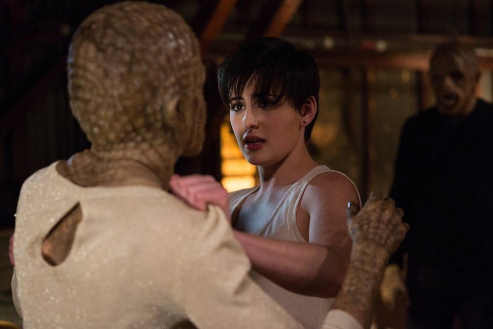 Fotos Jacqueline Toboni