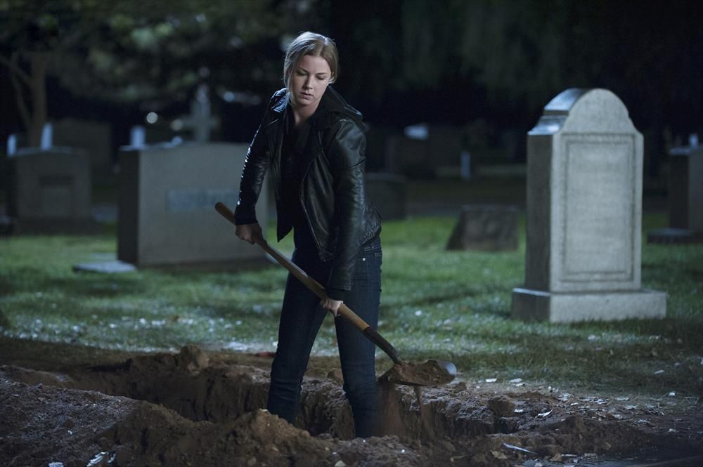 Fotos Emily VanCamp