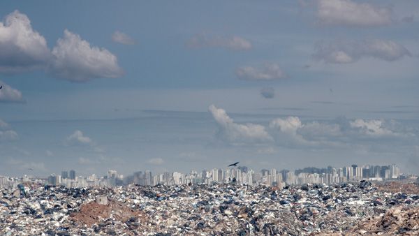 Plano B : Fotos
