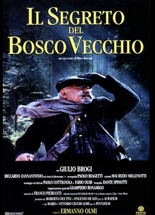 O segredo do bosque velho : Poster