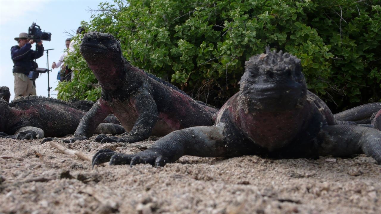 O Caso Galápagos - Quando Satã Veio ao Paraíso : Fotos