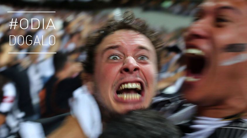 O Dia do Galo : Fotos