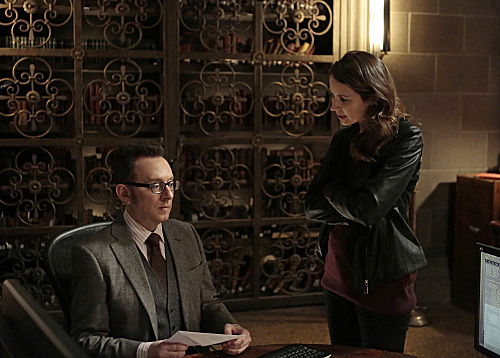 Person Of Interest : Fotos Amy Acker, Michael Emerson