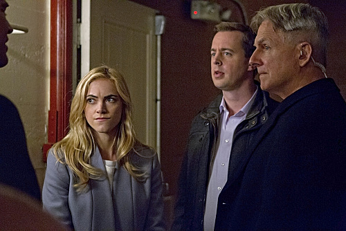 Fotos Sean Murray, Emily Wickersham, Mark Harmon