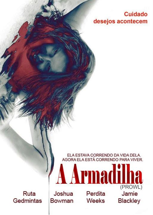 A Armadilha : Poster