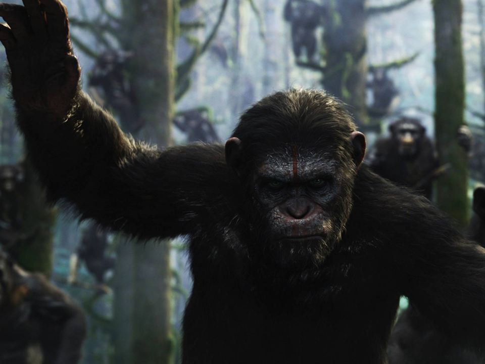 Planeta dos Macacos: O Confronto : Fotos