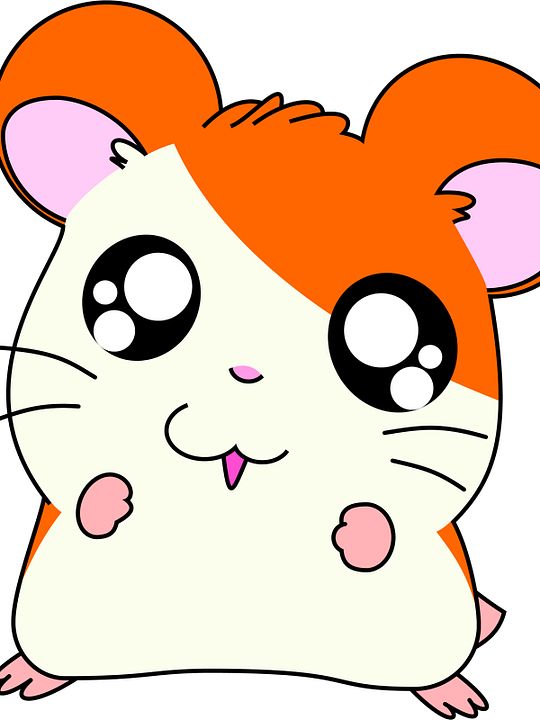Hamtaro : Poster