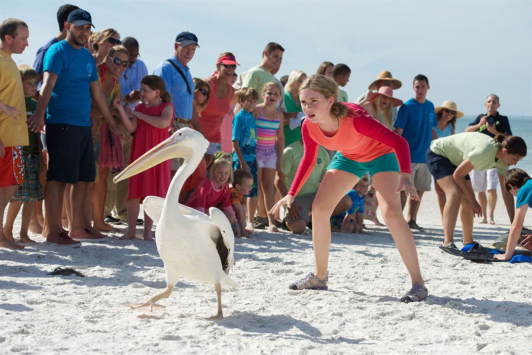 Winter, o Golfinho 2 : Fotos Cozi Zuehlsdorff