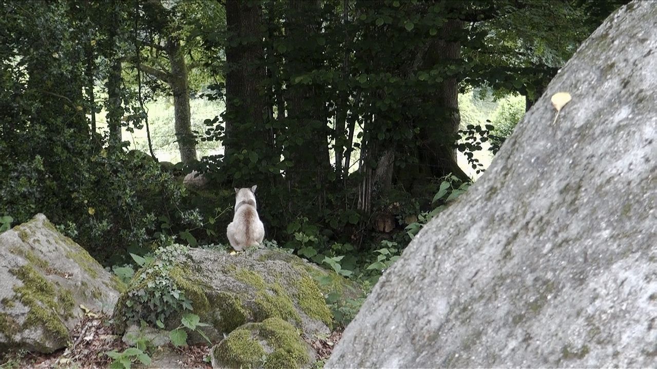 Le Paradis : Fotos