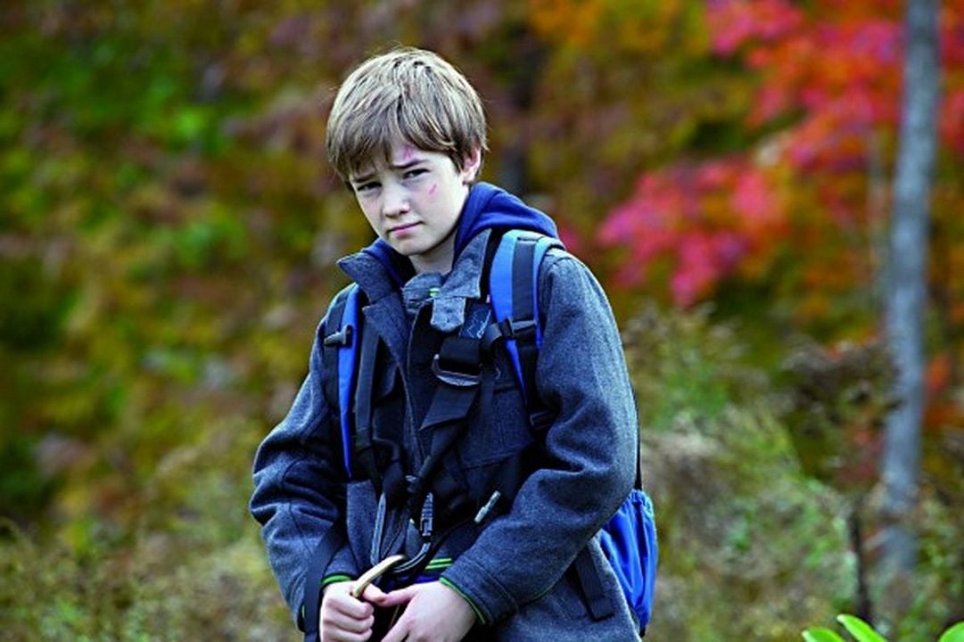 Uma Aventura Animal : Fotos Cameron C.J. Adams