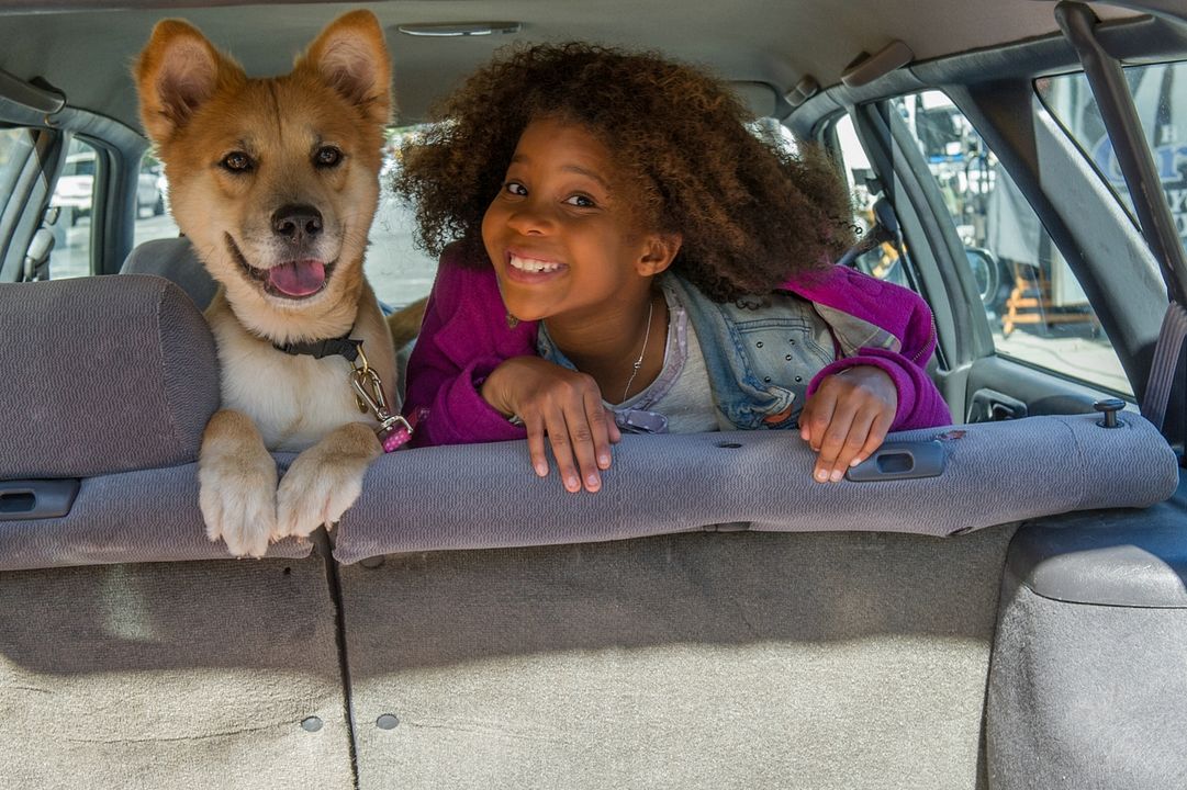 Annie : Fotos Quvenzhané Wallis