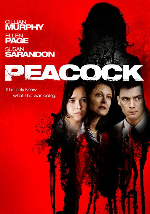 Face Oculta : Poster
