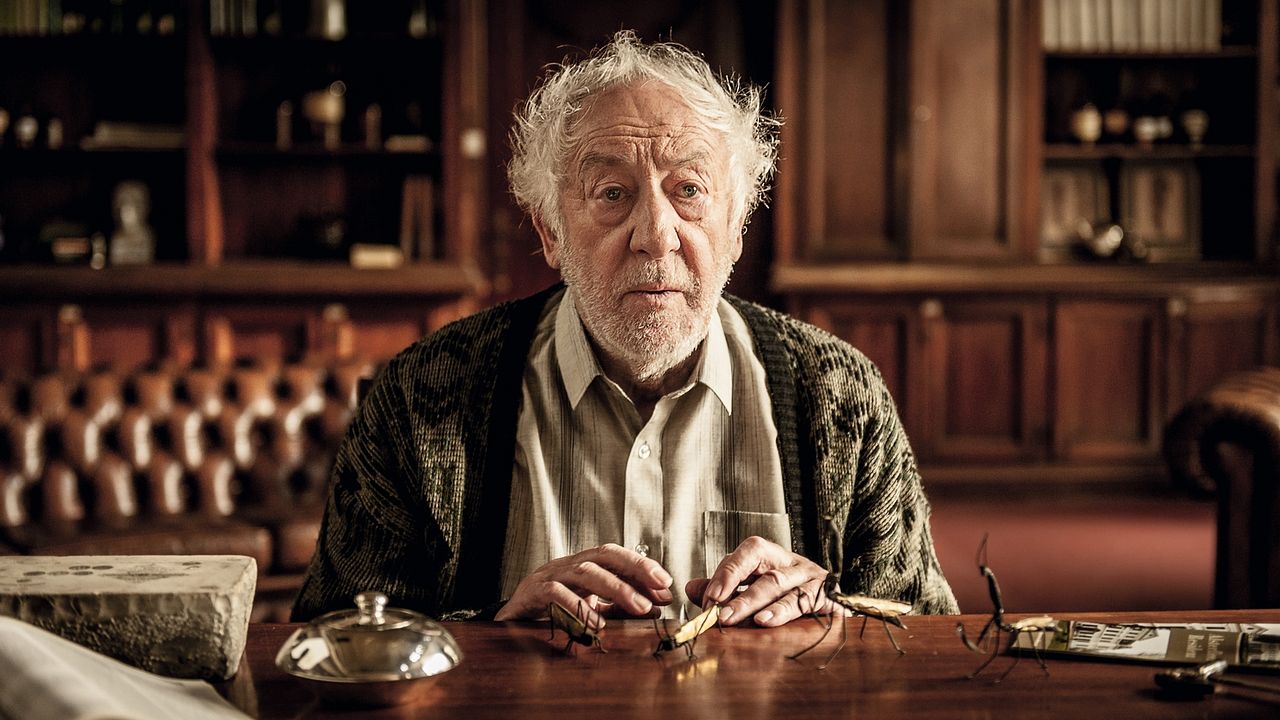 Fotos Dieter Hallervorden