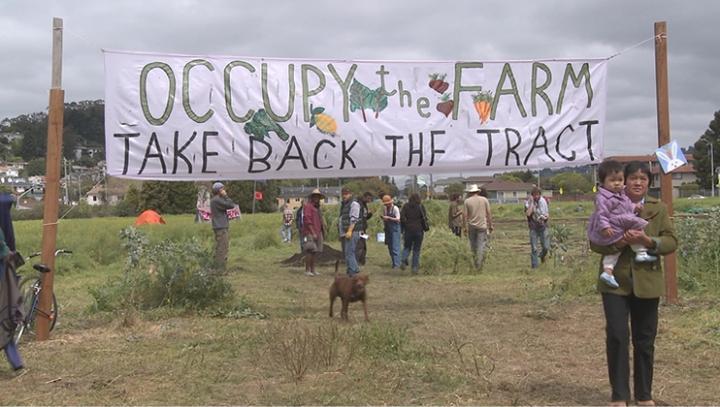 Occupy the Farm : Fotos