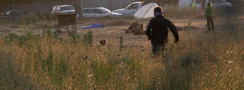 Occupy the Farm : Fotos