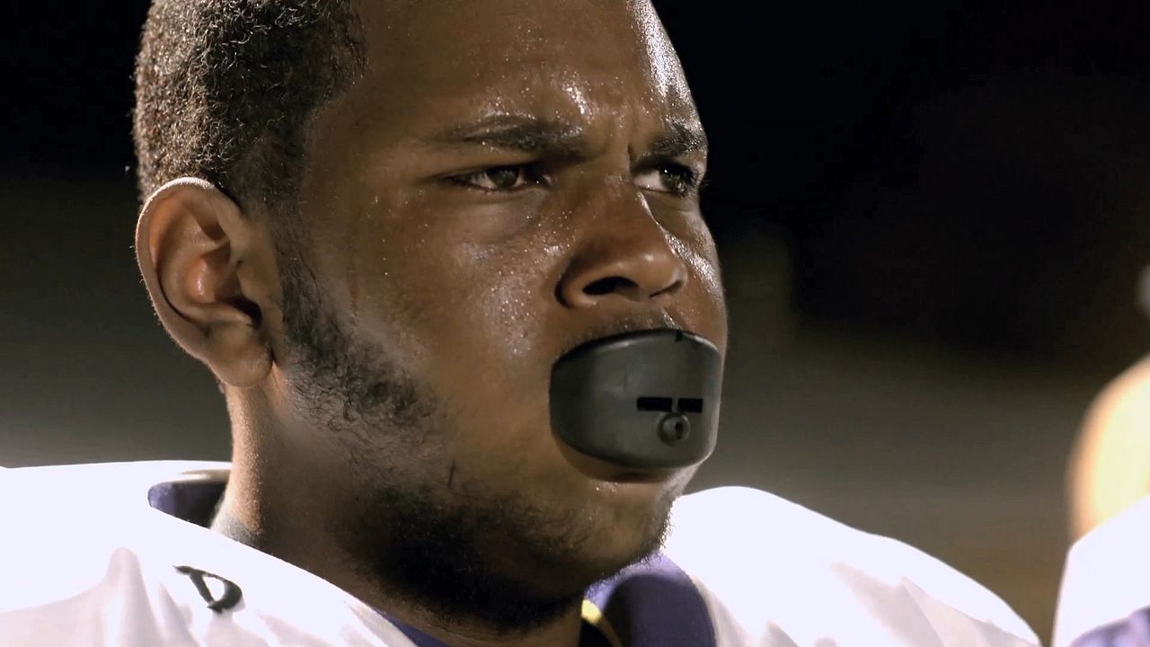 We Could Be King : Fotos