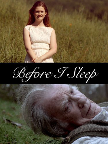 Before I Sleep : Poster