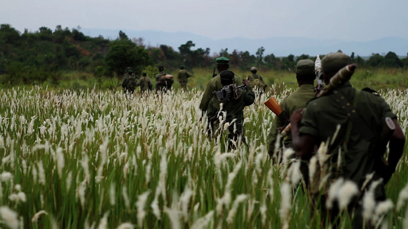 Virunga : Fotos
