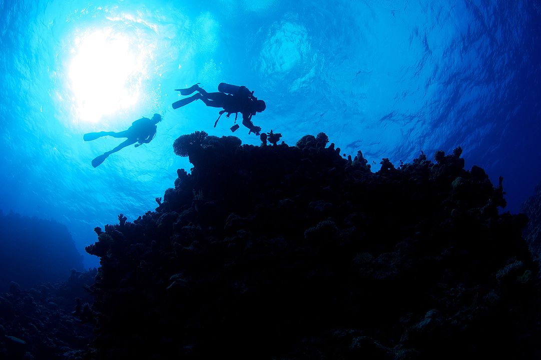 Mission Blue : Fotos