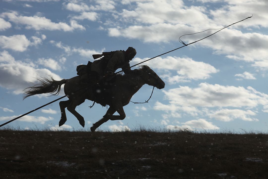 Espírito de Lobo : Fotos