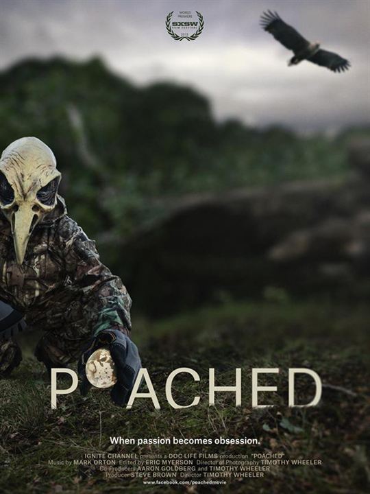 Poached : Poster