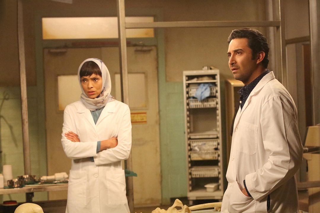 Bones : Fotos Tamara Taylor