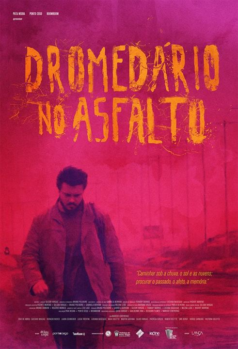 Dromedário no Asfalto : Poster