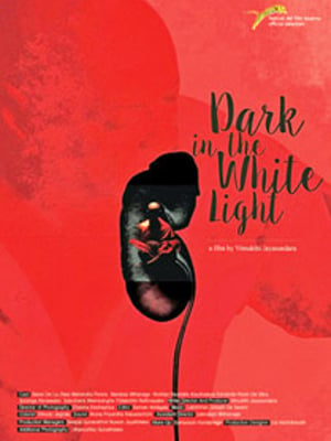 Dark In The White Light : Poster