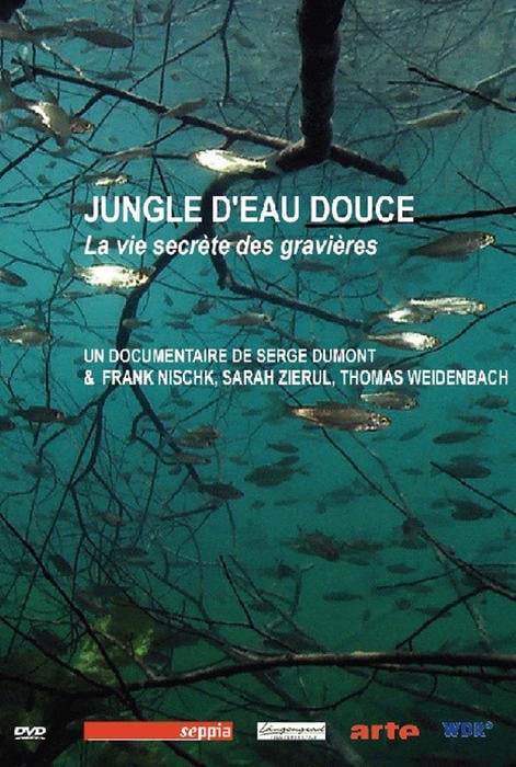 Jungle : Poster