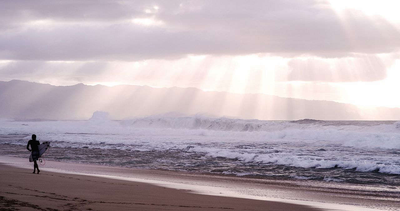 The Search for Freedom : Fotos