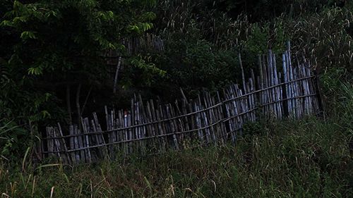 Remanescentes : Fotos